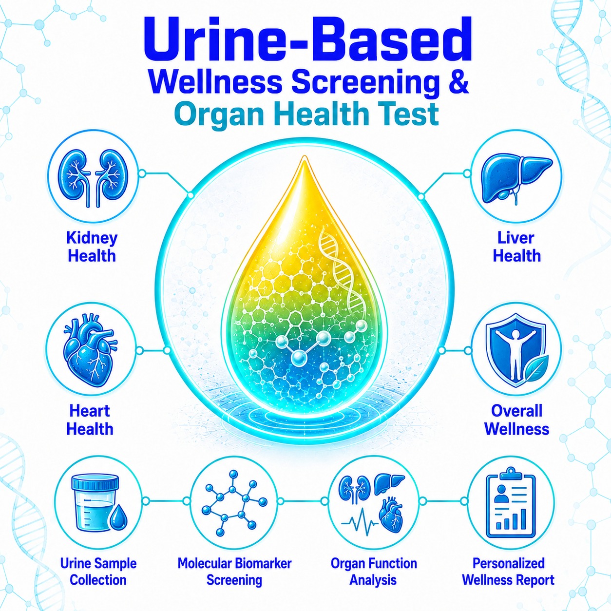Urine-Based Wellness Screening & Organ Health Test (Coming Soon)